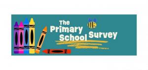 Primary School Survey